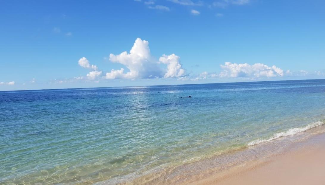 Appartement Paradisiaque Entre Hammamet Et Nabeul Ngoại thất bức ảnh